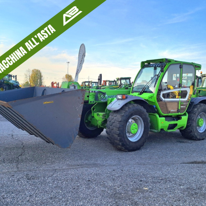MERLO TF 65.9 T - CS - ASTA AGRIBERTOCCHI - ASTA AGRIBERTOCCHI
