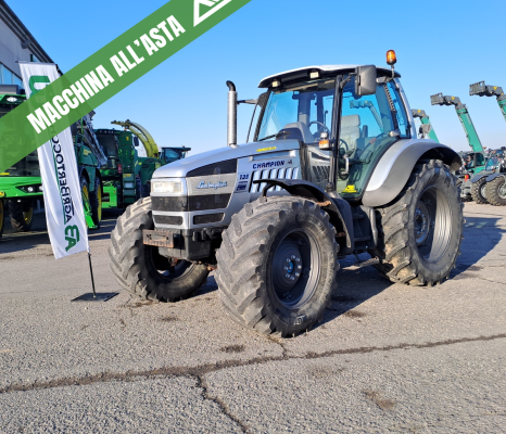  LAMBORGHINI CHAMPION 135 - ASTA AGRIBERTOCCHI